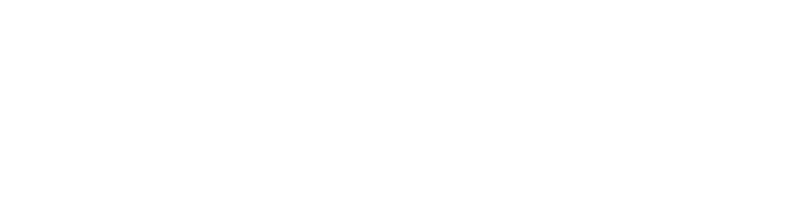 Astra Web Solution logo